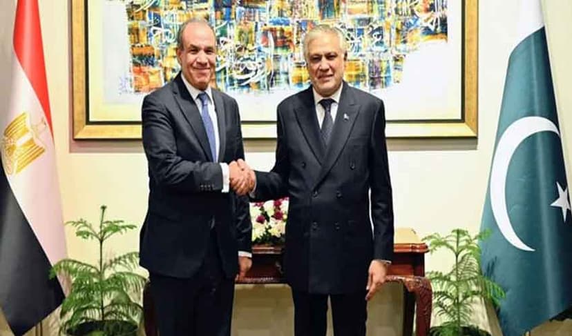 egyptian-foreign-minister