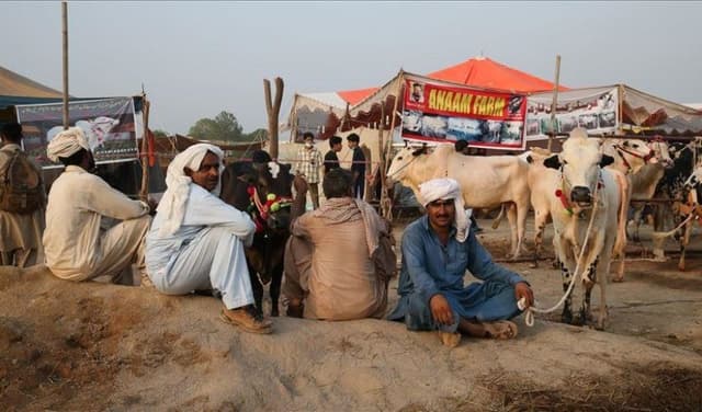 Pakistan to celebrate Eid-ul-Azha on May 27 (Courtesy: File)