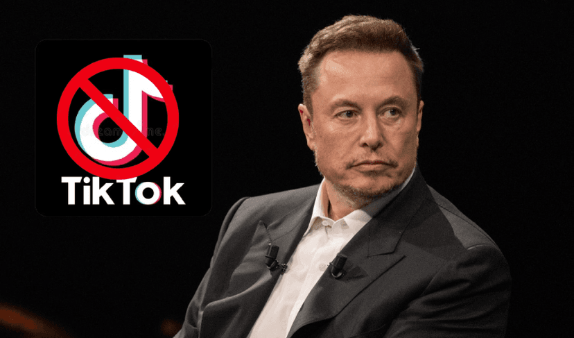 Elon Musk TikTok