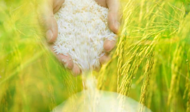 Food exports fall 30.19% in May (Courtesy: File)