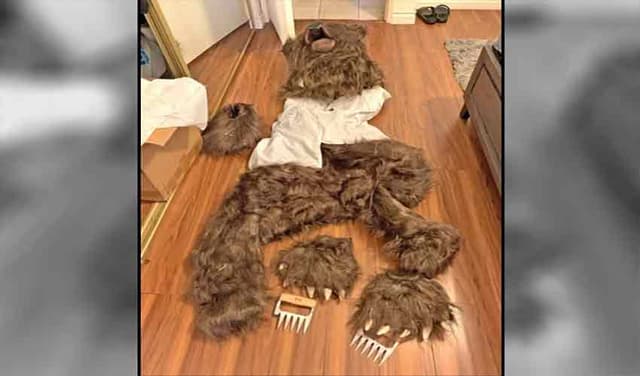 fake-bear attack