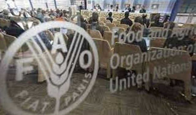 FAO – File