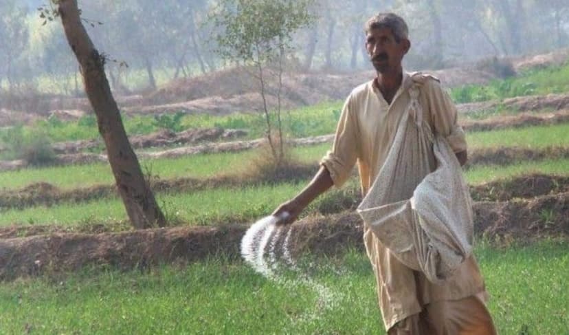 Farmer - File Photo