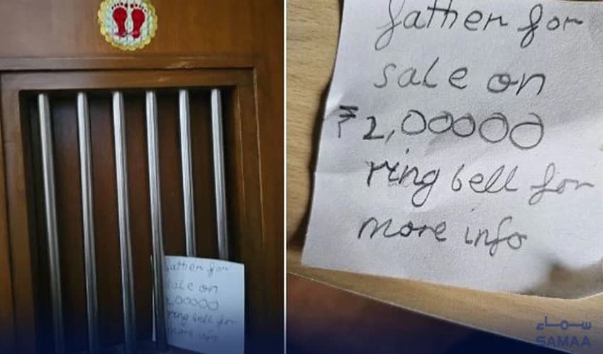 Father for sale