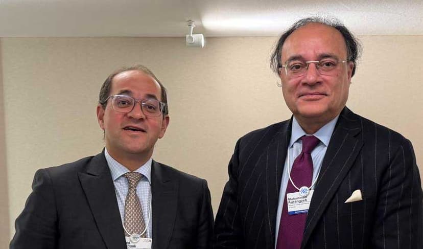 Egyptian finance minister praises Pakistan’s reform progress (Courtesy: File)