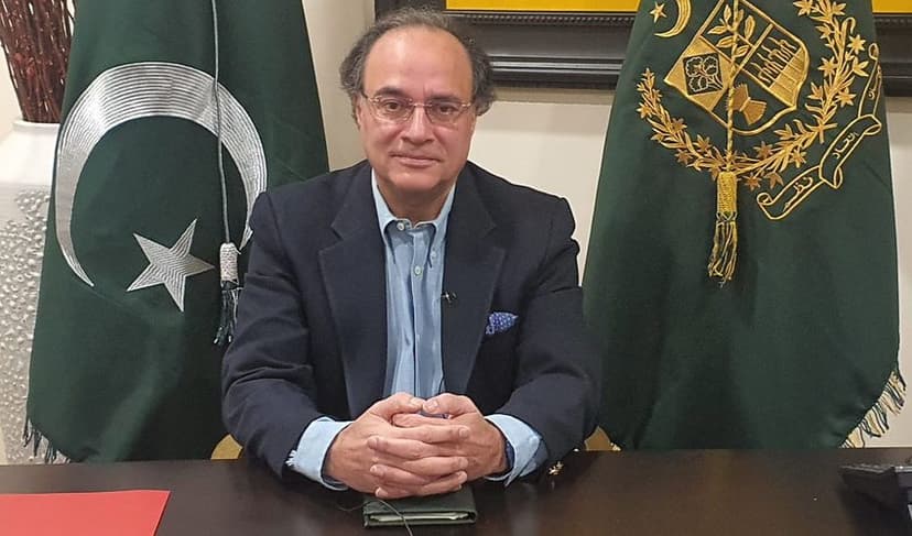 FinMin Aurangzeb says govt strives for economic stability in Pakistan (Courtesy: File)