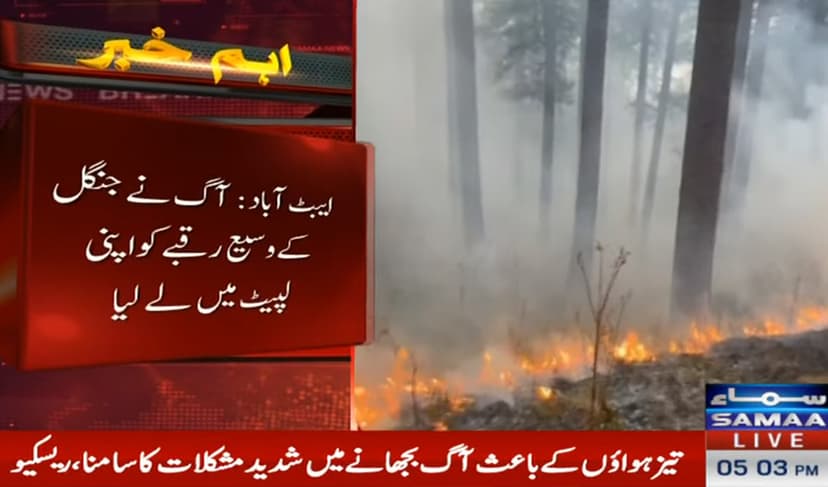 Forest blaze consumes vast area in Abbottabad (Courtesy: File)