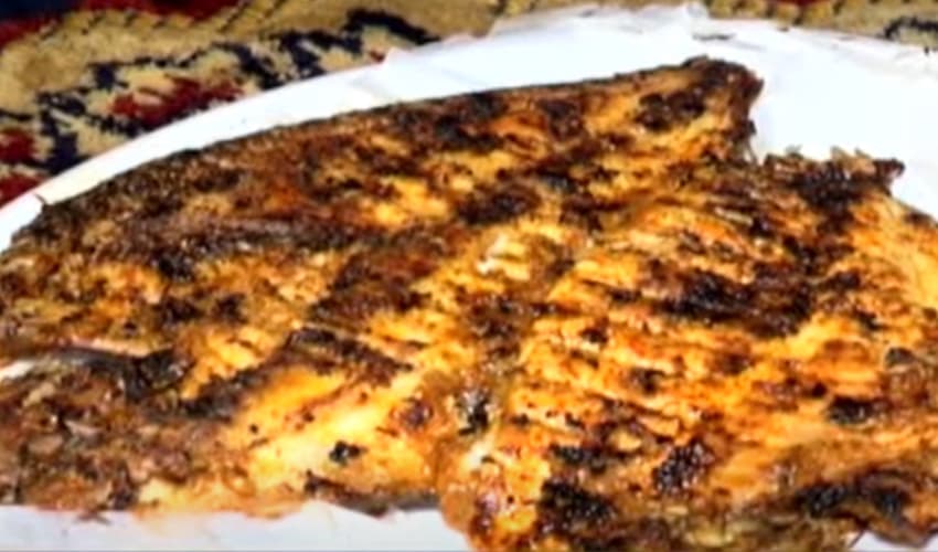 fish fish