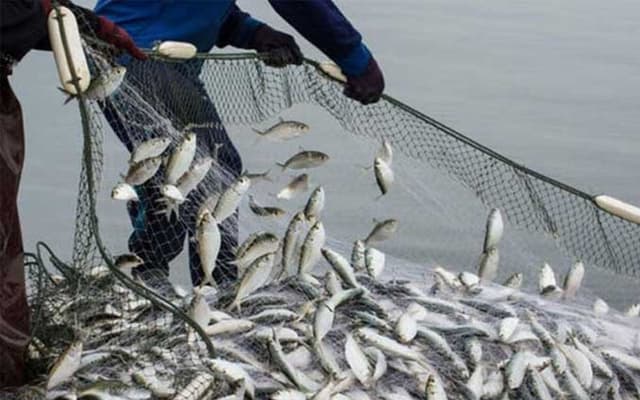 Pakistan, Bangladesh eye maritime sustainability through blue economy (Courtesy: Online)