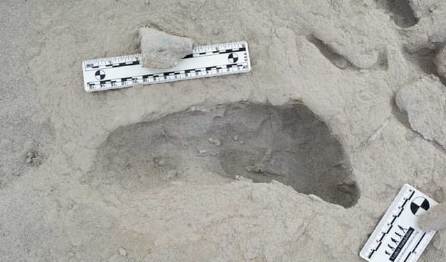 Footprints of two ancient human species found in Kenya (Courtesy: File)