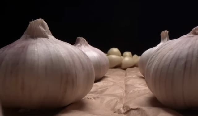 Garlic’s antioxidants help strengthen the immune system – File
