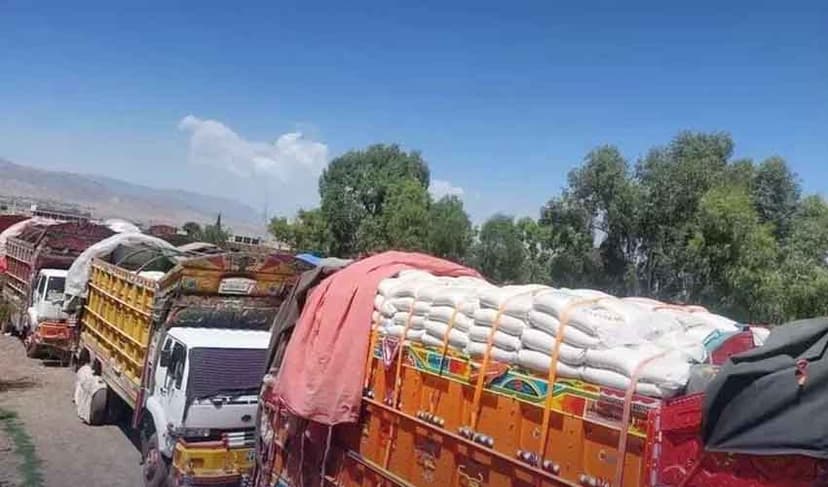 goods transporters
