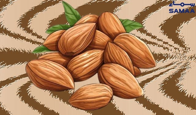 Nutritionists emphasise consuming handful of almonds daily – File