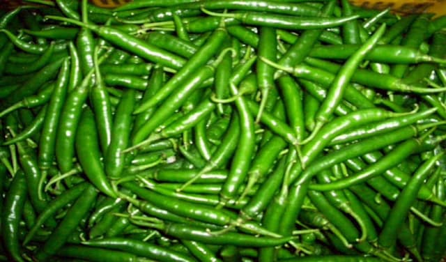 'Green chilli may help reduce fat accumulation in body' (Courtesy: File)