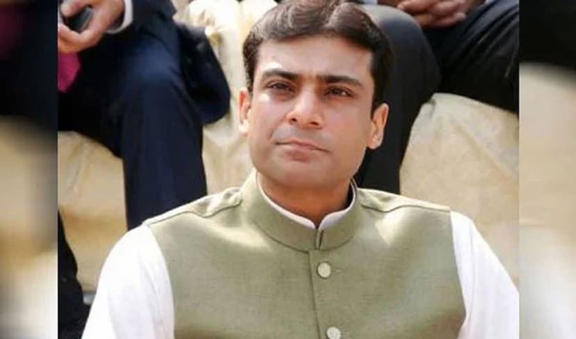 PML-N wants stability in the country: Hamza Shehbaz – File