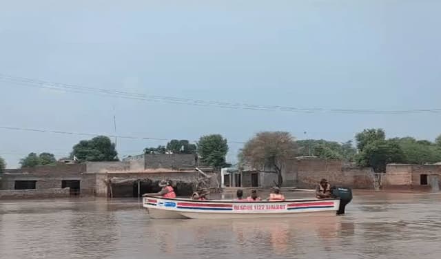 Head Gand Sindh Wala