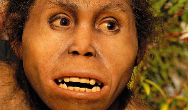 Homo erectus survived arid deserts over a million years ago (Courtesy: File)
