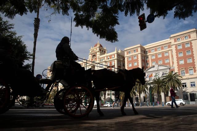 Malaga moves to ban horse-drawn carriages in bid to protect animals (Courtesy: Online)