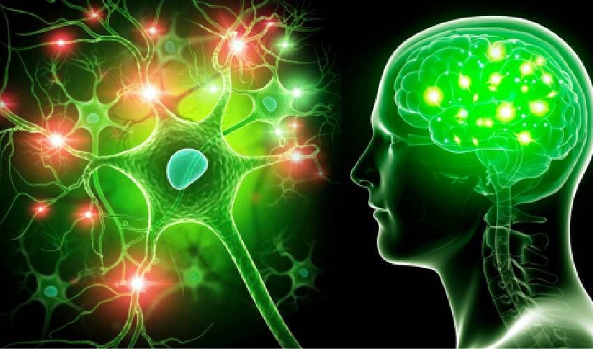 Surging nervous system disorders now top cause of illness: study