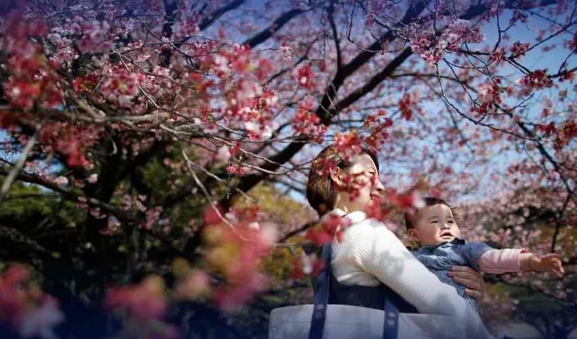 Japan