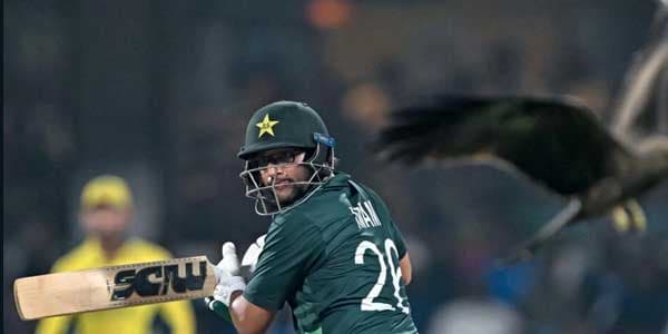 Imamul Haq AFP