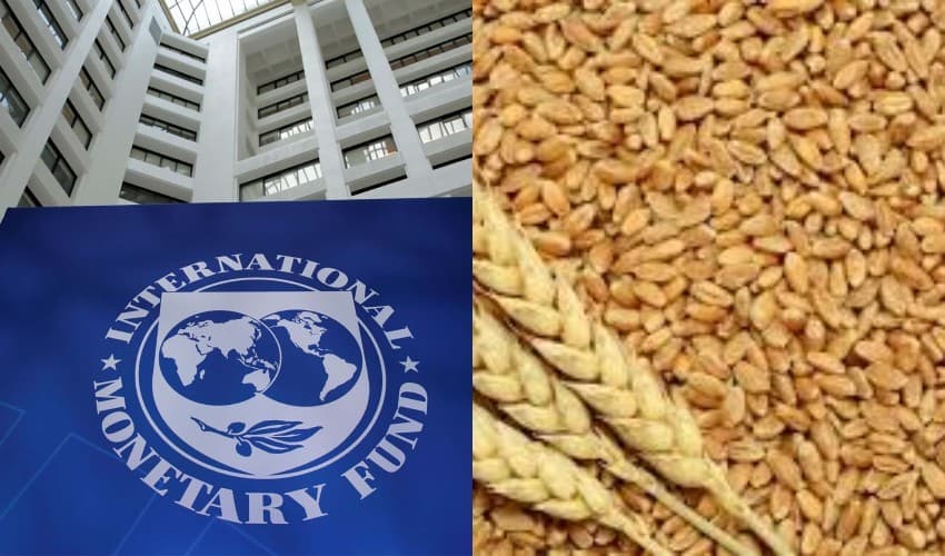 Govt addresses IMF’s concerns over wheat price policy (Courtesy: File)