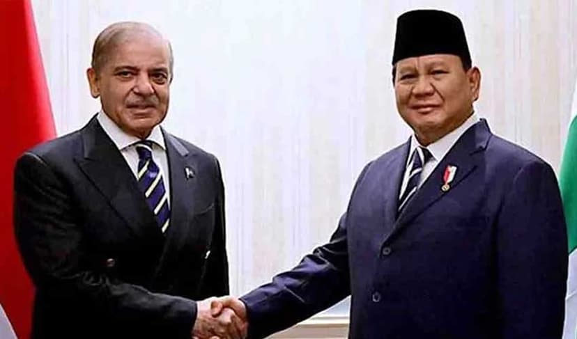 Pakistan, Indonesia resolve to bolster bilateral ties (Courtesy: Online)