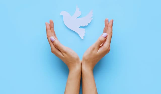 International Day of Peace