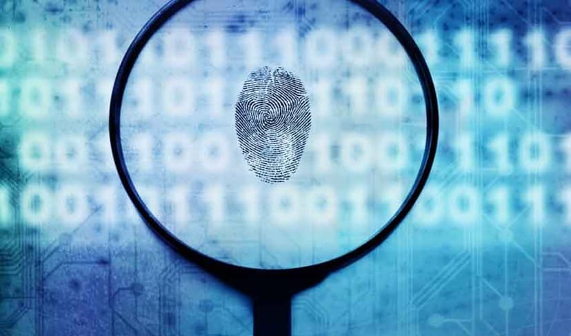investigation