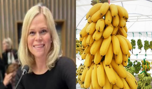 Swedish minister's bananaphobia sparks controversy over special requests for banana-free meetings (Courtesy: File)