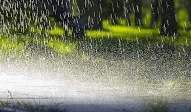 Rain, storm alert issued for Punjab districts from May 2 (Courtesy: File)
