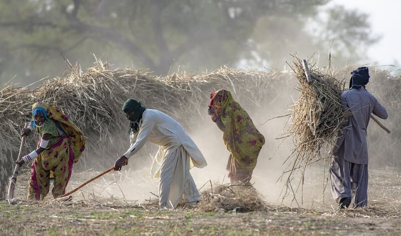Labourers in Pakistan