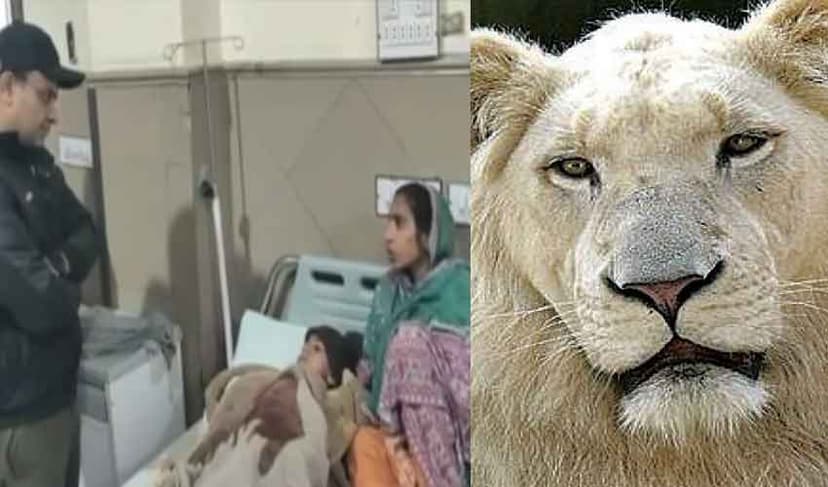Lahore lion attack