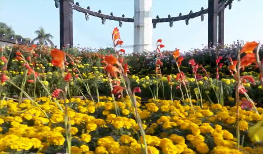 Morning walk breathes new life into Lahore's parks (Courtesy: File)