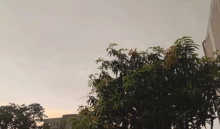 Multan records highest rainfall at 19mm: PDMA  (Courtesy: Online)
