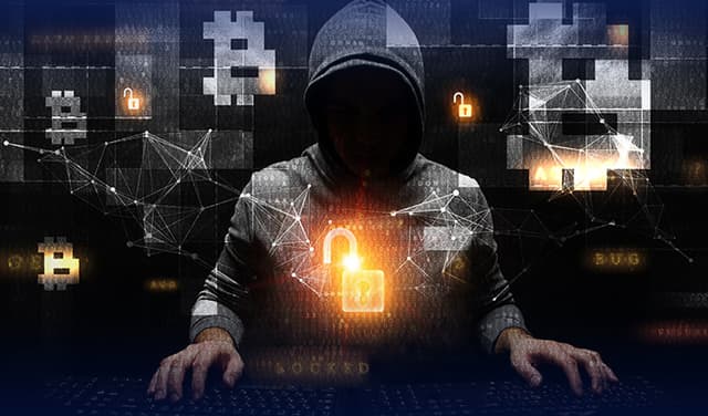 Advisory issued for organisations to protect against deceptive PDFs and malicious websites (Courtesy: Online)