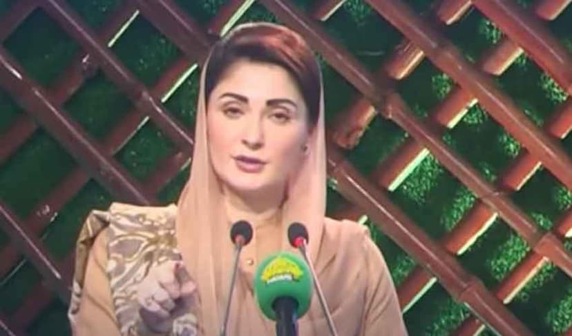 CM Maryam resolves to raise awareness about neurological disorders (Courtesy: File)