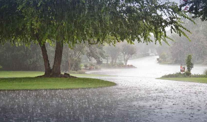 monsoon rains