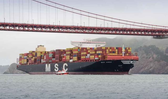MSC Anna