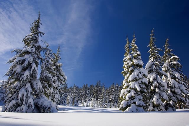 ‘Murree Safe Winter’ launched ahead of expected snowfall (Courtesy: File)