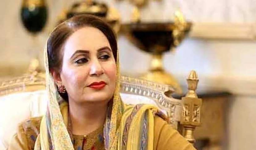 Musarrat Cheema – File