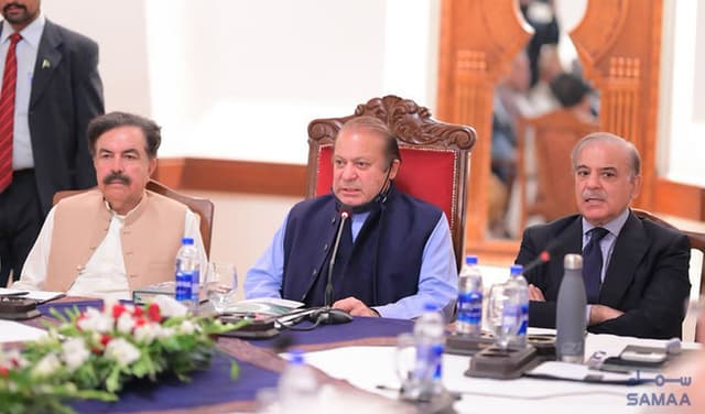 PML N