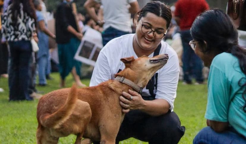 New Delhi stray dogs - File Photo