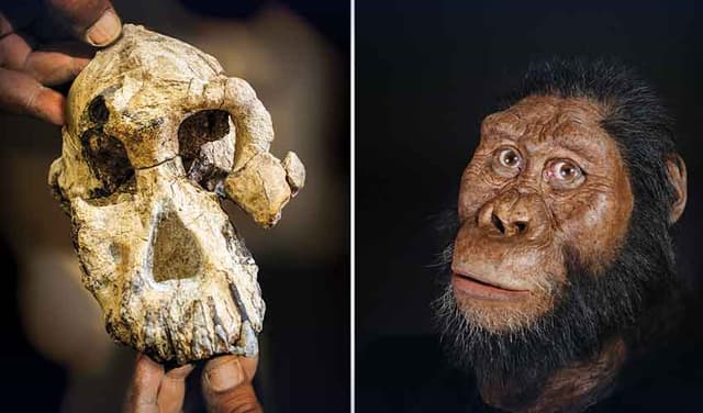 Skull from China
