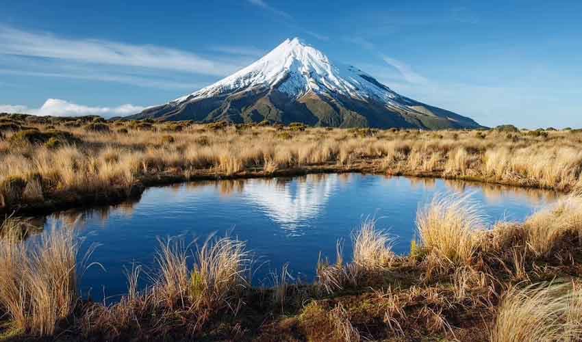 New Zealand's human mountain