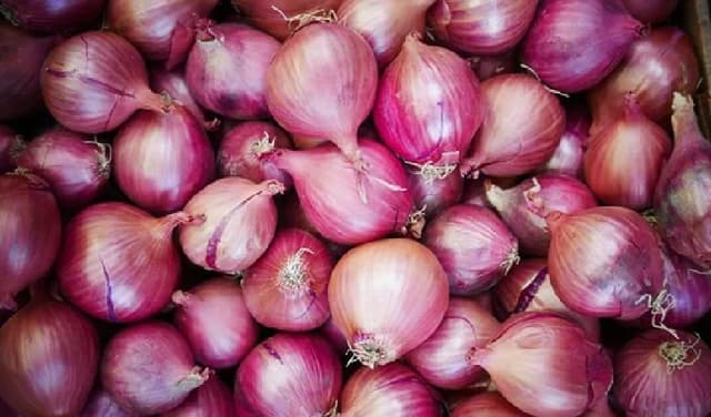 India sends 720 tons of buffer onions to Delhi (Courtesy: File)