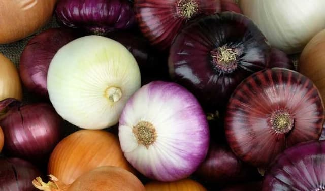 Onion offers powerful health benefits pungent odour (Courtesy: File)