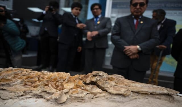 Rare 12-million-year-old porpoise fossil unveiled in Peru (Courtesy: Online)