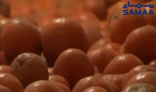'One orange a day may help prevent certain cancers' (Courtesy: Samaa TV)