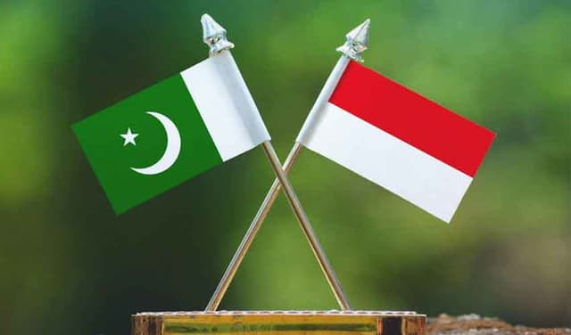 Pakistan-Indonesia trade